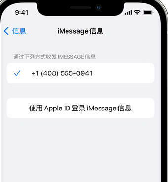 滦县apple维修iPhone上无法正常发送iMessage信息 