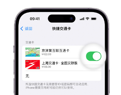 滦县apple维修点分享iPhone上更换Apple Pay快捷交通卡手绘卡面 