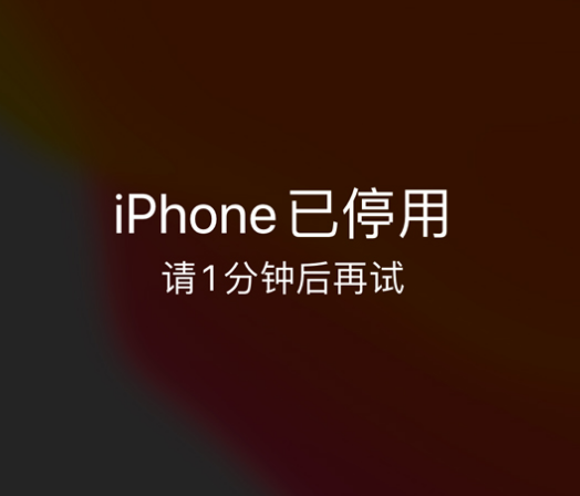 滦县苹果手机维修分享:iPhone 显示“不可用”或“已停用”怎么办？还能保留数据吗？ 