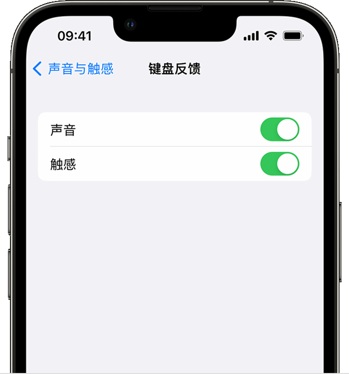 滦县苹果14维修店分享如何在 iPhone 14 机型中使用触感键盘 