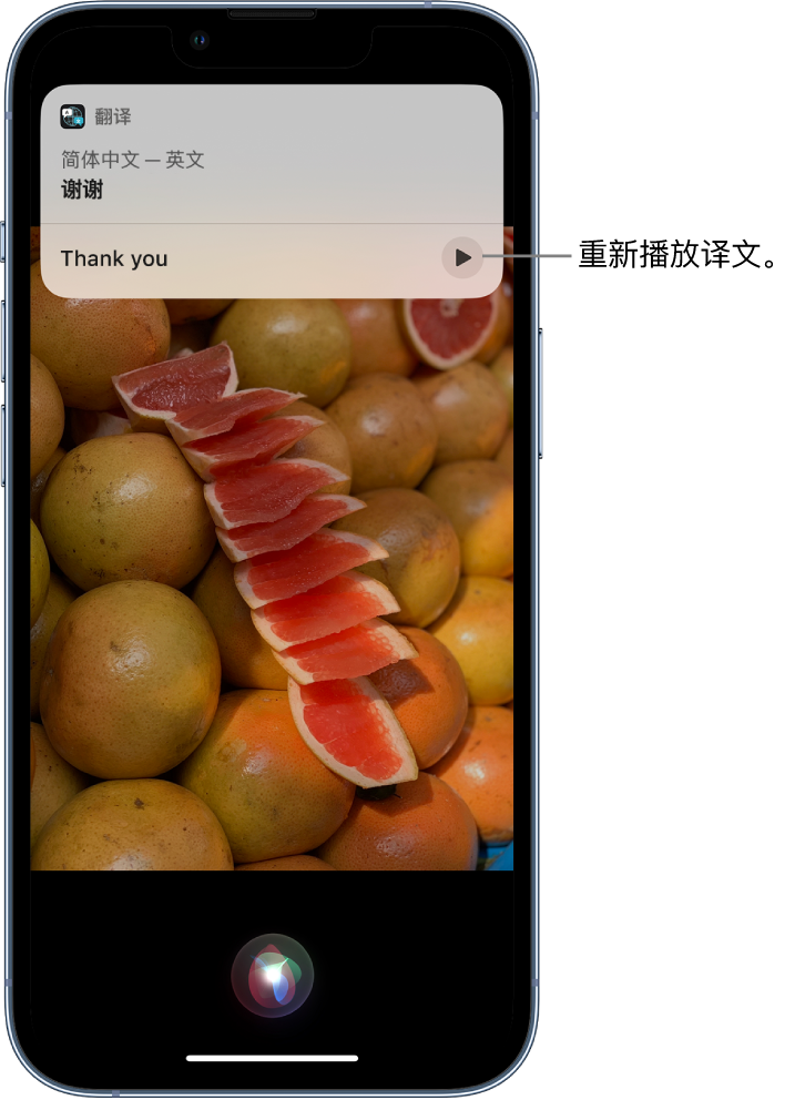 滦县苹果14维修分享 iPhone 14 机型中使用 Siri：了解 Siri 能帮你做什么 