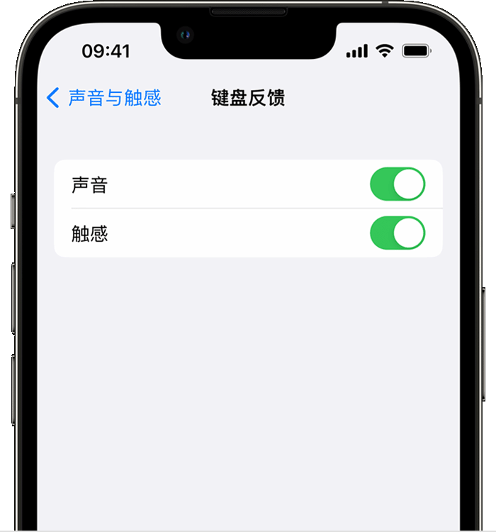 滦县苹果14维修分享iPhone 14 系列机型如何开启键盘声音或触感反馈 