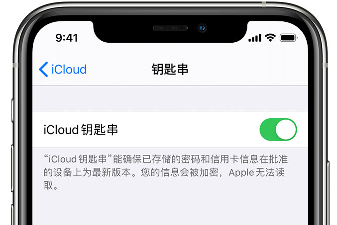 滦县苹果手机维修分享在 iPhone 上开启 iCloud 钥匙串之后会储存哪些信息 