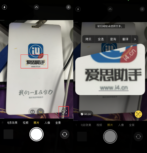 滦县苹果手机维修分享升级iOS 16后如何通过相机翻译文本 