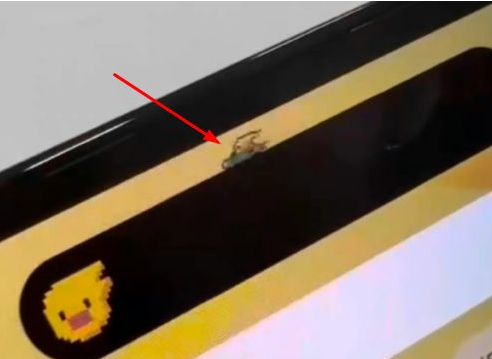 滦县苹果14维修分享iPhone 14 Pro Max灵动岛怎么养宠物 