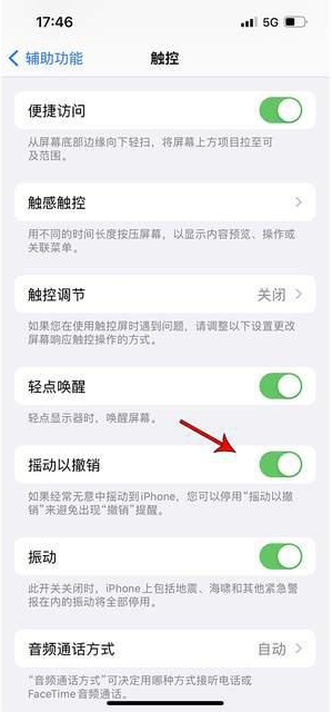 滦县苹果手机维修分享iPhone手机如何设置摇一摇删除文字 