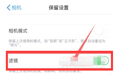 滦县苹果13维修分享iPhone13拍照有绿点是怎么回事 