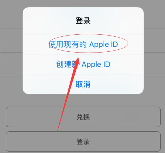 滦县苹果手机维修分享两台iPhone设备可以同时登录一个Apple ID吗 