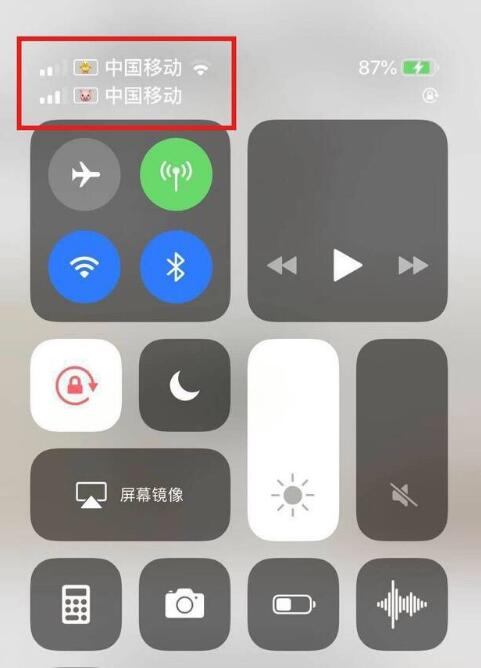 滦县苹果手机维修分享为 iPhone 12 双卡设置标签 